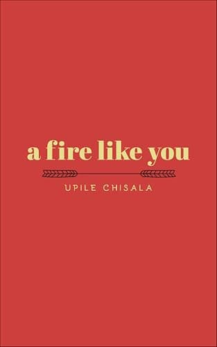 Image of a fire like you