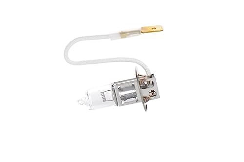 Image of Bosch 1 987 302 431 Bulb