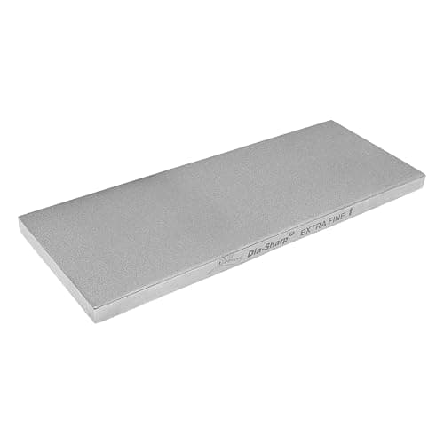 Image of DMT D8E 8-Inch Dia-Sharp Continuous Diamond - Extra Fine