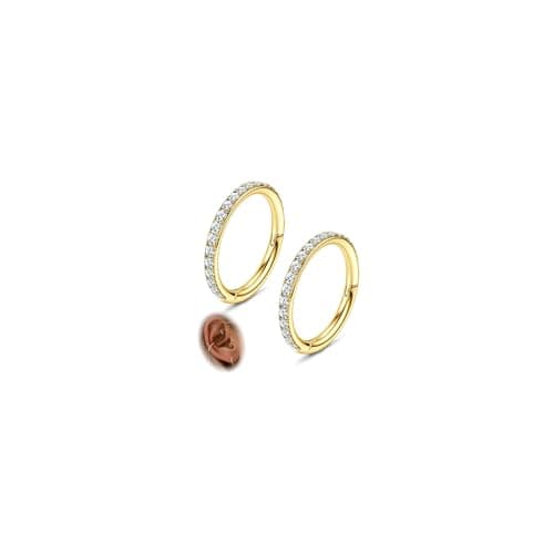 Image of Morfetto Cartilage Helix Earrings Hoop Conch Piercing Jewellery 16G 316L Surgical Steel Hinged Segment Rings Septum Nose Ring Daith Rook Tragus Hoop Helix Piercing Jewellery 6mm Golden