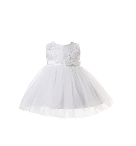 Image of Cinda Baby Girls Embroidered Floral Party Dress Ivory 9-12 Months