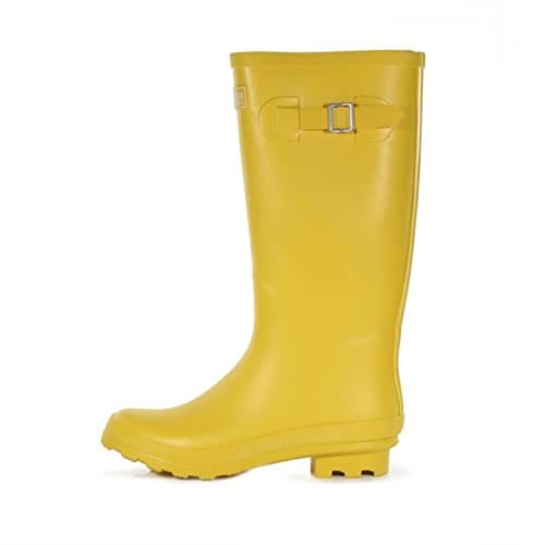 Image of Regatta Ly Fairweath Womens Wellingtons Maize Yellow 3 UK