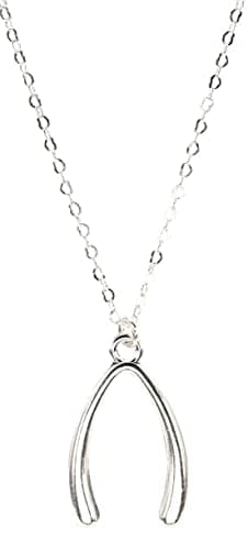 Image of bluebubble GOOD LUCK Silver Wishbone Charm Necklace on Gift Card (18" Silver Plated Chain Necklace)