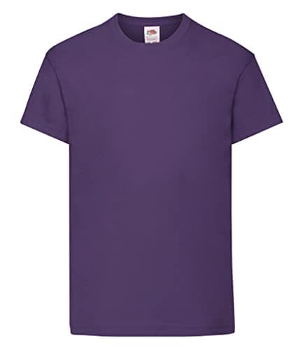 Image of Fruit of the Loom Kids Original T Shirt - 21 Colours / Age 3-15 Ye - Purple - 56