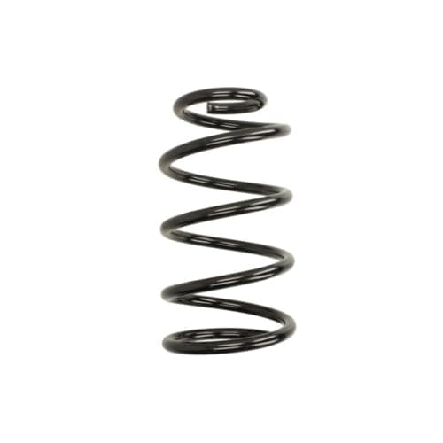 Image of KYB Coil Spring RA3314 Kuga - F