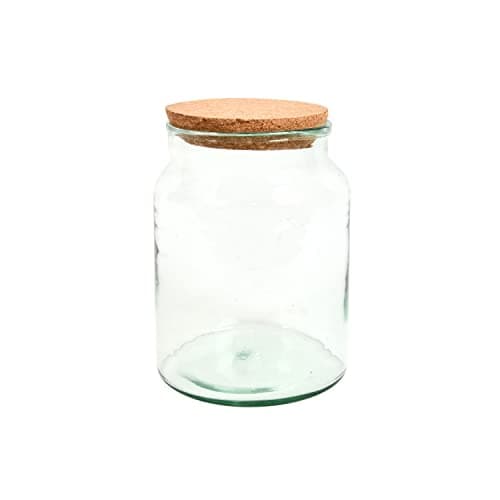 Image of Half Open Terrarium Bottle Small