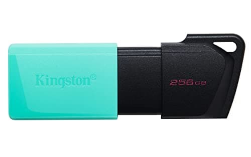 Image of Kingston DataTraveler Exodia M USB 3.2 Gen 1 DTXM/256GB- with Moving Cap (Black + Teal)