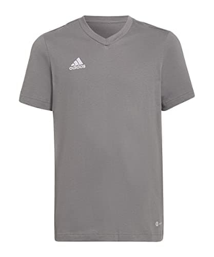 Image of adidas Unisex Kids Entrada 22 Tee, Team Grey Four, 13-14 Years