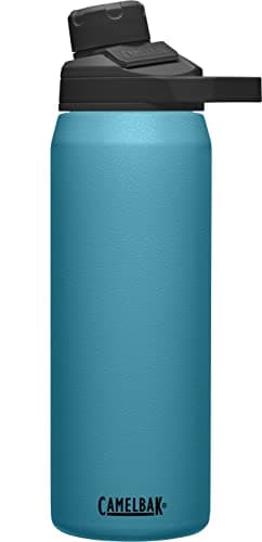 Image of CamelBak Fall MAG SST Vacuum Insulated 25OZ, Larkspur 2022