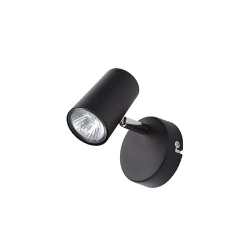 Image of Harvey Spotlight