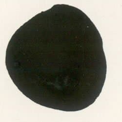 Image of BCreativetolearn Black Ready Mix Poster Paint 5 litre