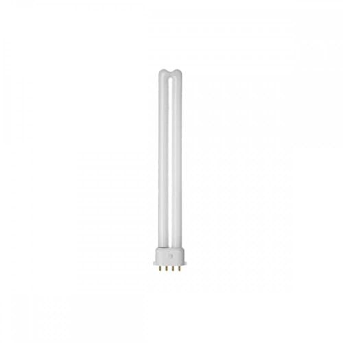 Image of Osram Dulux L24W/840 Compact Florescent Bulb 24 W Cool White