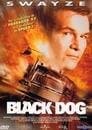 Image of Black Dog [DVD]