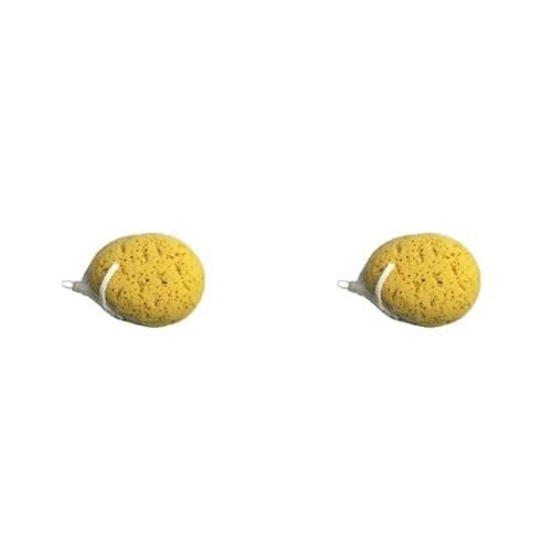 Image of Body Sponge (Pack of 2)