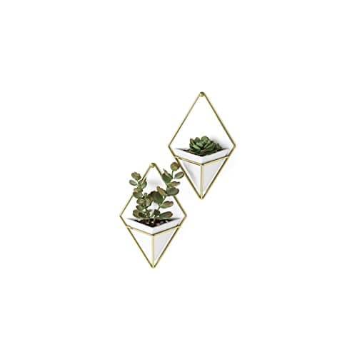 Image of Umbra Trigg Hanging Planter Vase Wall Decor, Set of 2 Pots Containers for Succulents, Cactus, Faux Plants, and More, Small, White/Brass