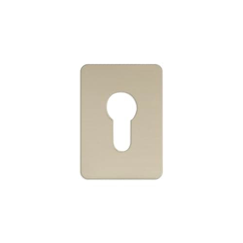 Image of TSS Silver Anodised Aluminium Euro Cylinder Stick On Repair Escutcheon, 65mm x 47mm. Self Adhesive Euro Profile Key Covers, Keyhole Cover for Euro Cylinder, Self Adhesive Door Plate