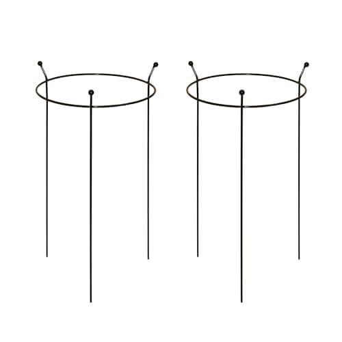 Image of 2 Pack of Cottage Heavy Duty Black Metal Steel Herbaceous Garden Plant Support Rings 60cm x 35cm