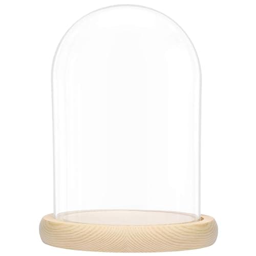 Image of BELLE VOUS Large Glass Dome Cloche Bell Jar with Natural Wooden Base - 20cm/7.87 Inches - Clear Decorative Tabletop Display Case with Tray for Fairy Lights, Centrepieces and Antiques