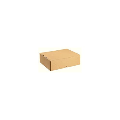 Image of Carton with Lid 305x215x100mm Brown [Pack of 10]