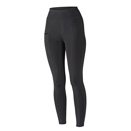 Image of Shires Aubrion Hudson Womens Riding Tights - Black XS