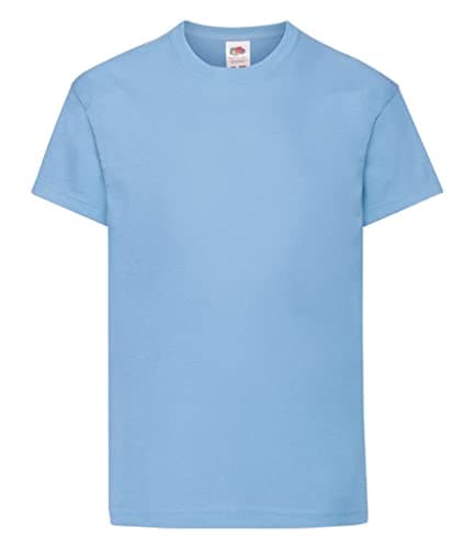 Image of Fruit of the Loom Kids Original T Shirt - 21 Colours / Age 3-15 - Sky Blue - 56
