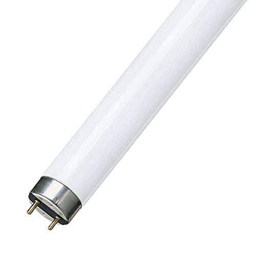 Image of F58W 5FT T8 Fluorescent tube 840 - cool white