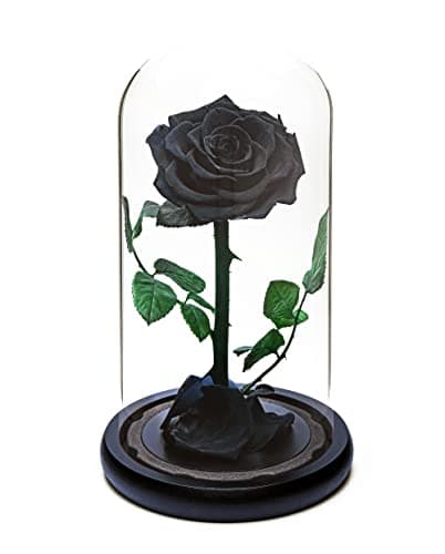 Image of Eternal Forever Rose | Fresh Rose Gift | Single Rose Preserved for 5 Years | Handcrafted | Gifts for Women Birthday unique Unusual | Mother’s Day, Anniversary, Christmas valentine’s day (Black)