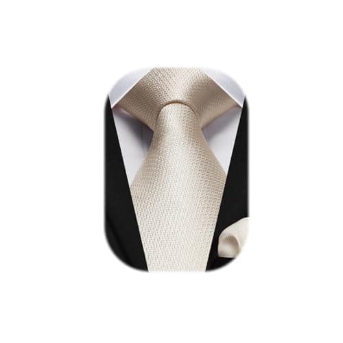 Image of HISDERN Men's Beige Ties Wedding Solid Colour Tie Elegant Handkerchief Business Party Fashion Plaid Necktie & Pocket Square Set