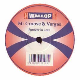 Image of Forever in Love [12" VINYL]