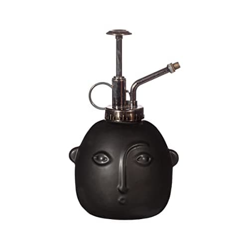 Image of Sass & Belle Face Plant Mister Matte Black