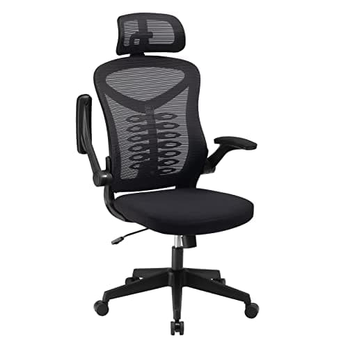 Image of Magic Life Ergonomic Office Chair Computer Chair with Adjustable Headrest/Lumbar Support, High Back 3D Armrests Home Mesh Chair (Black)