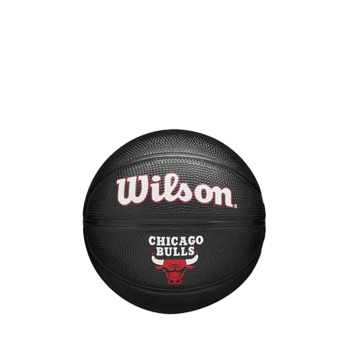 Image of Wilson NBA Team Tribute Mini Basketball