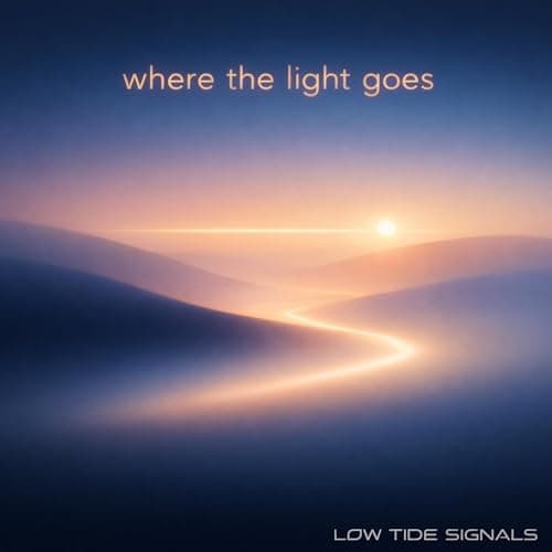 Image of Where the Light Goes