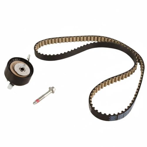 Image of Ford Genuine 1.0 GTDi EcoBoost Cam Wet Timing Belt Kit 2012-2122062