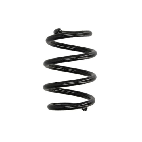Image of KYB Rear Coil Spring RA5027