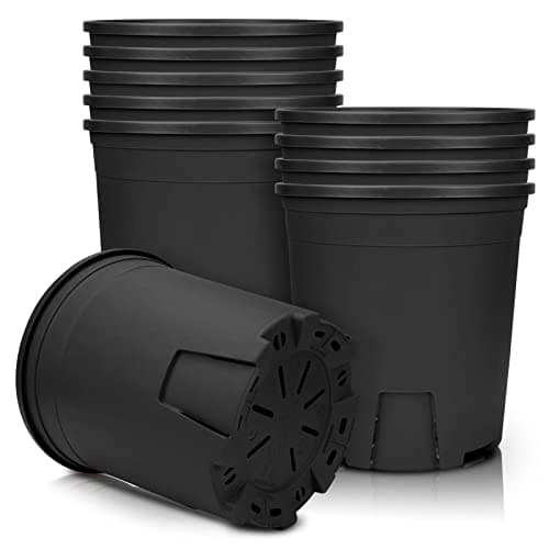 Image of Muzihra 20.9cm Plastic Plant Pot Pack of 5, Root-Control Nursery Seedling Planter Decorative Garden Flower Pot Container Green for Indoor Outdoor Bonsai Plants - Black