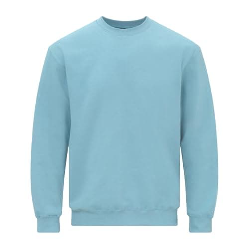 Image of Gildan Unisex Adult Softstyle Fleece Midweight Sweatshirt (L) (Sky)