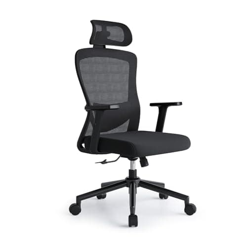 Image of Eucladoceros Office Chair,Ergonomic Desk Chairs with Adjustable Lumbar Support,2D Headrest & Armrest 120° Rocking High Back Mesh Office Chairs for home, Desk Chair (Black)