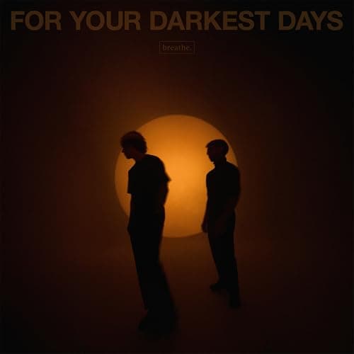 Image of For Your Darkest Days