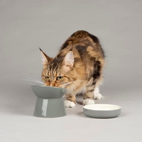 Image of Scruffs Classic Stoneware/Ceramic Raised Cat Feeder Bowl & Saucer Set - Grey