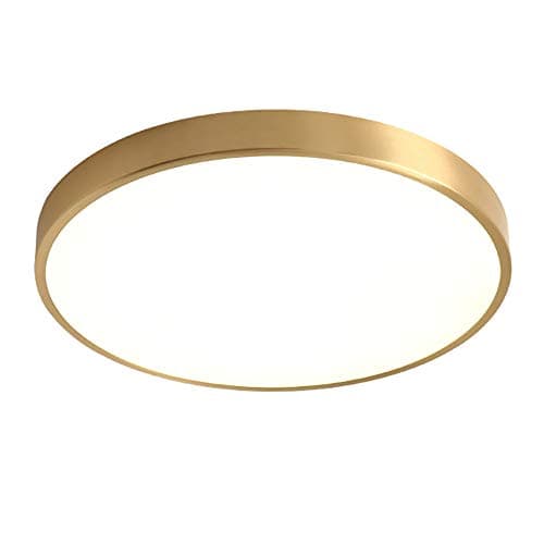 Image of NSXBY LED Dimmable Ceiling Light,Circular Golden Ceiling,Round Brushed Brass Flush Mount Ceiling Lamp,For Living Room Bedroom Kitchen Hallway Stairway With Remote Control Light Fixture-White 60cm