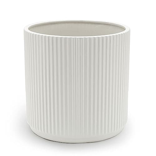 Image of Amazon Basics Fluted Ceramic House Round Planter, 20.3 cm, White