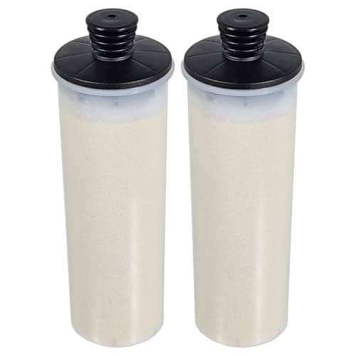 Image of Spares2go Descaling Filter Cartridge for Karcher SC2 SC3 127V BR SC3MX Upright Easyfix Plus Steam Cleaner (Pack of 2)