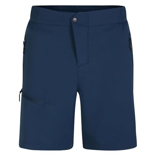 Image of Dare 2b Men's Mountain Series Shorts Blue
