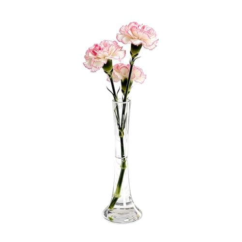 Image of 25CM/10 Inch Tall Clear Hand-Blown Glass Bud Vase Narrow Neck Single Stem Floral Vase Small Mouth Decorative Floral Vases for Wedding Centerpieces Party Home Decoration
