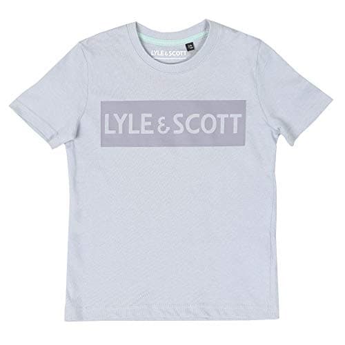 Image of Lyle and Scott Junior - Block Logo T Shirt, Cloud Blue, 14-15 Yrs