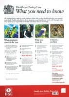 Image of POSTER, HEALTH & SAFETY LAW, A3 9780717663699 By Best Price Square