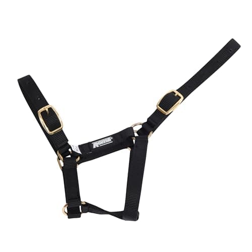 Image of Roma Foal Headcollar, Black, Foal