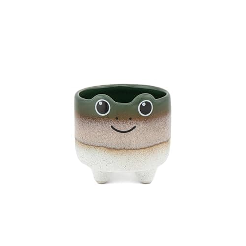 Image of Sass & Belle Mojave Frog Planter - Colourful Mini Pot for Succulents, Cactus, Flower Bulbs, Quirky Home Décor, Indoor Garden Accessory, Plant Pot Gift Idea