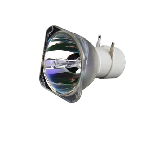 Image of NP40LP Accessories of projector lamps fit for VE303G / VE303XG / NP-VE303 / NP-VE303X / NP36LP / VE303 / VE303X Projectors(NP40LP-CB)